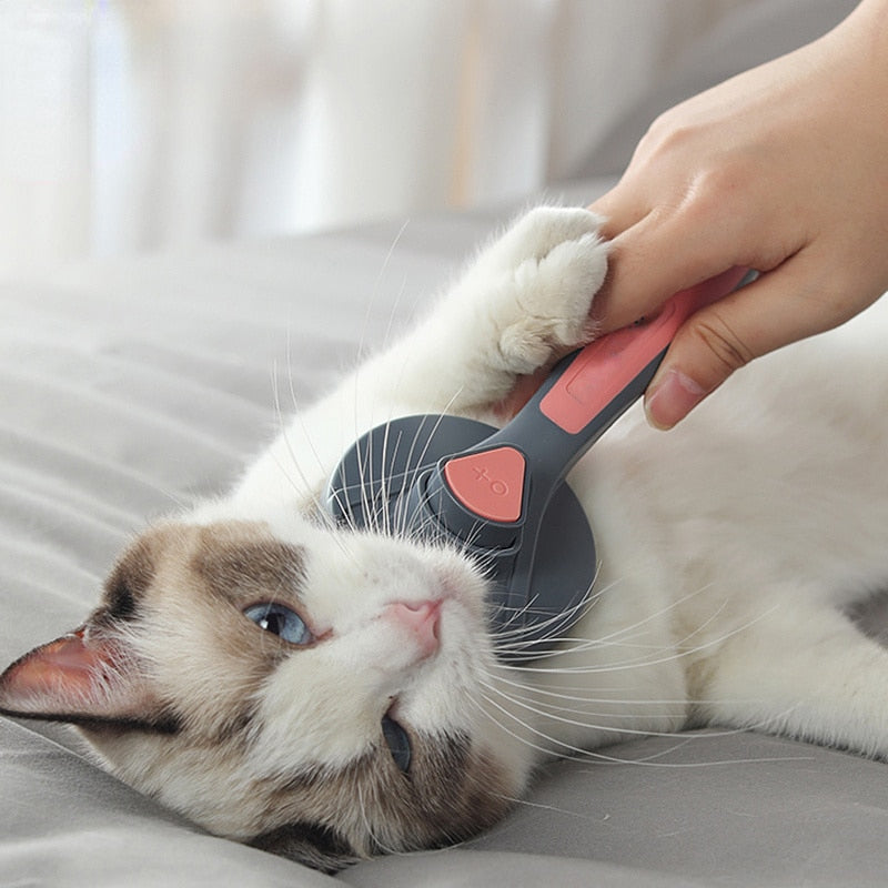 Brosses de Toilettage pour Chats et Chiens, Autonettoyante,La Brosse Enlève les Poils en Un Clic - Mabelle Magasin