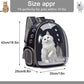 Sac de transport respirant Portable pour chat et chien. Sac à bandoulière pour animaux de compagnie. Sac Transparent pour petits chiens et chats - Mabelle Magasin