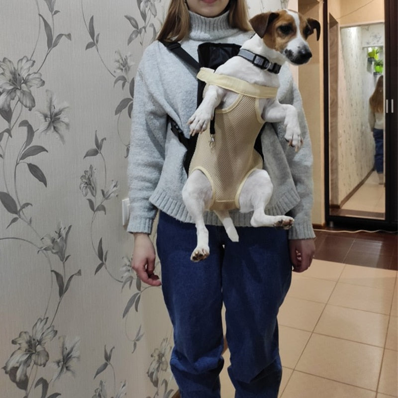 Sac à dos de transport pour chien, chat, voyage en plein air, sacs respirants pour petit chien, chat, Chihuahua - Mabelle Magasin